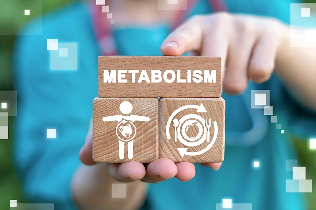 El metabolismo y la importancia de conocerlo