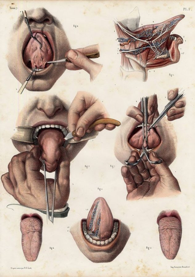 Surgimiento de la anatomía quirúrgica como disciplina