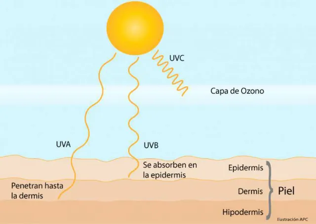 La radiación UV es causa de cáncer de piel